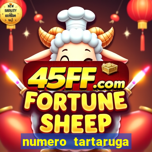numero tartaruga jogo do bicho